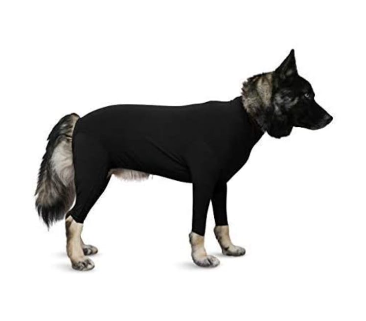 Shed Defender Dog Onesie