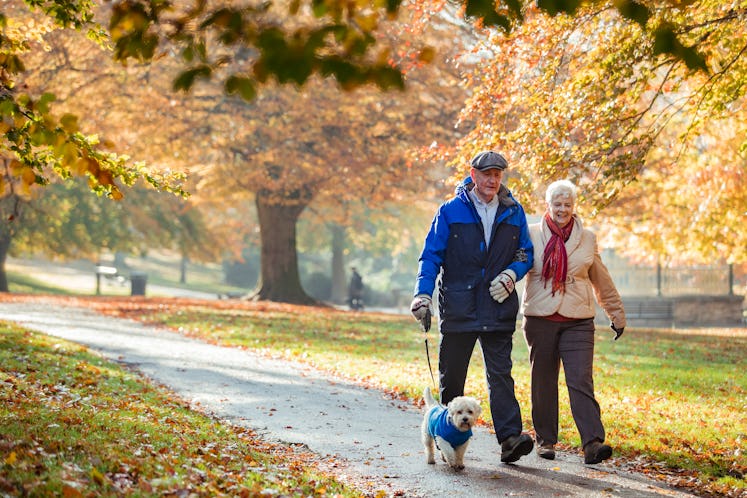 Senior couple walking dog in park in autumn
