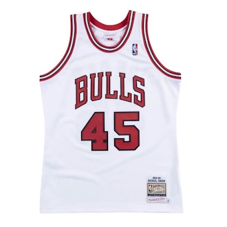 Authentic Chicago Bulls 1994-95 Michael Jordan Jersey