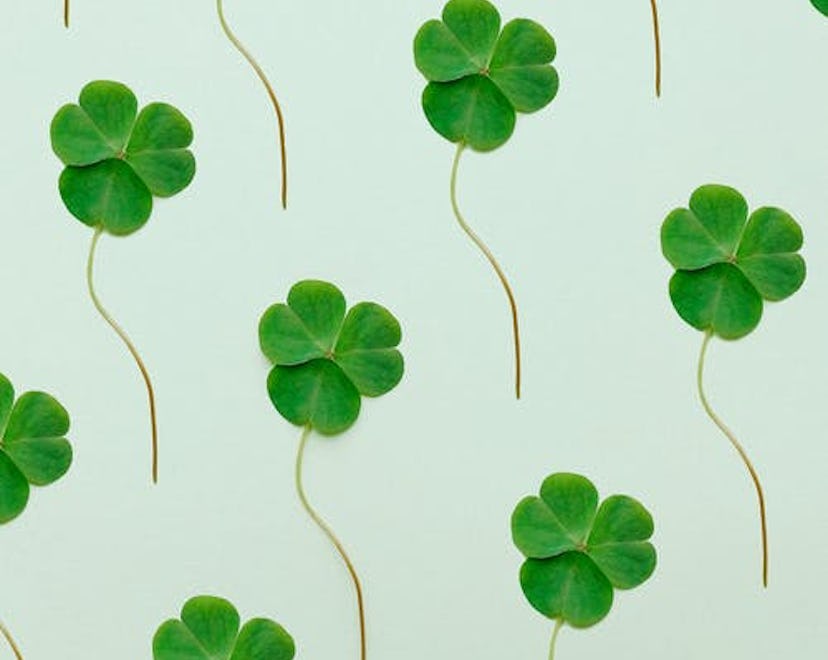 St. Patrick's Day Shamrock wallpaper