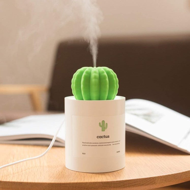 ONUEMP Mini Cactus Humidifier