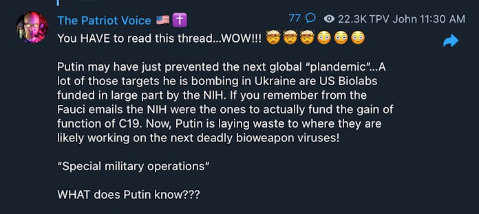 QAnon John Telegram screenshot about Putin invading Ukraine