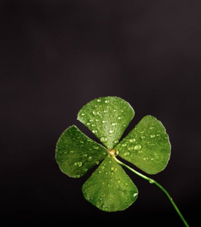 Four Leaf Clover Wallpaper makes a great phone wallpaper for St. Patrick's Day
