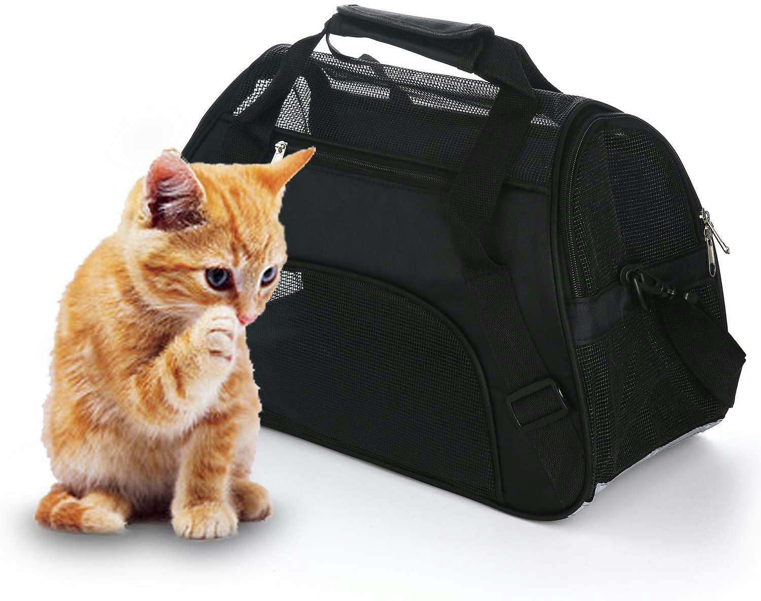 The 9 Best Airline-Approved Cat Carriers In 2022