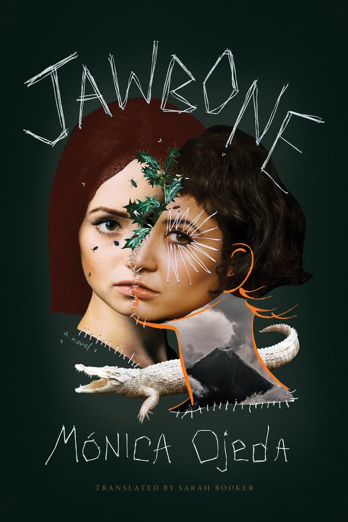 &lsquo;Jawbone&rsquo; by Mónica Ojeda