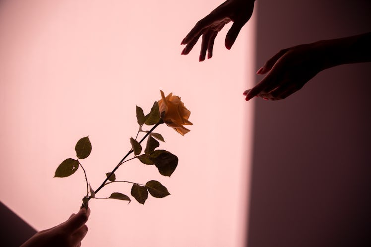 Hands taking a rose