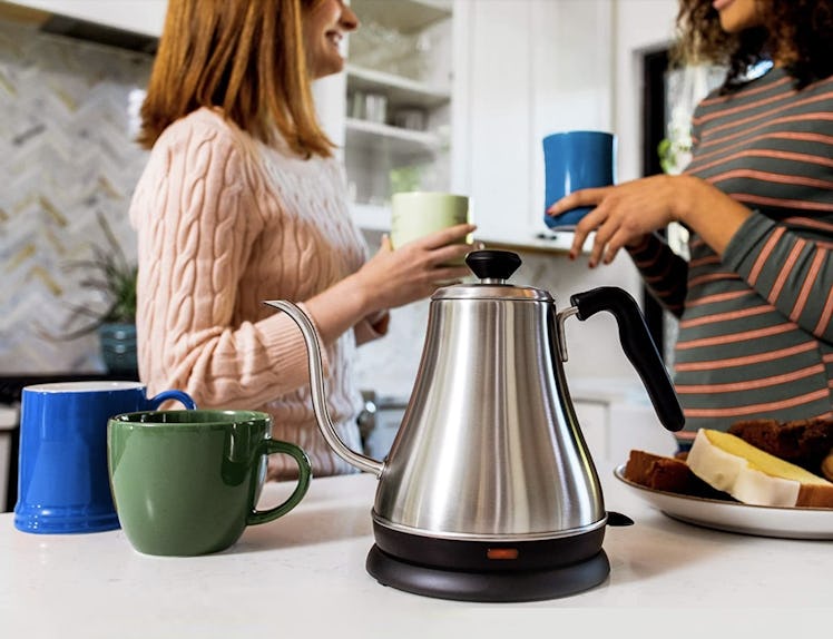 Willow & Everett Electric Gooseneck Kettle