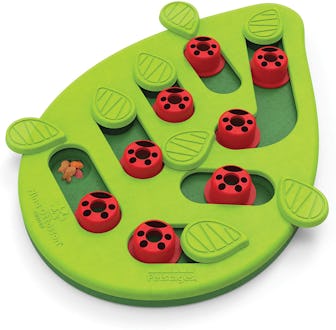 Best puzzle cat toy for when you are away
