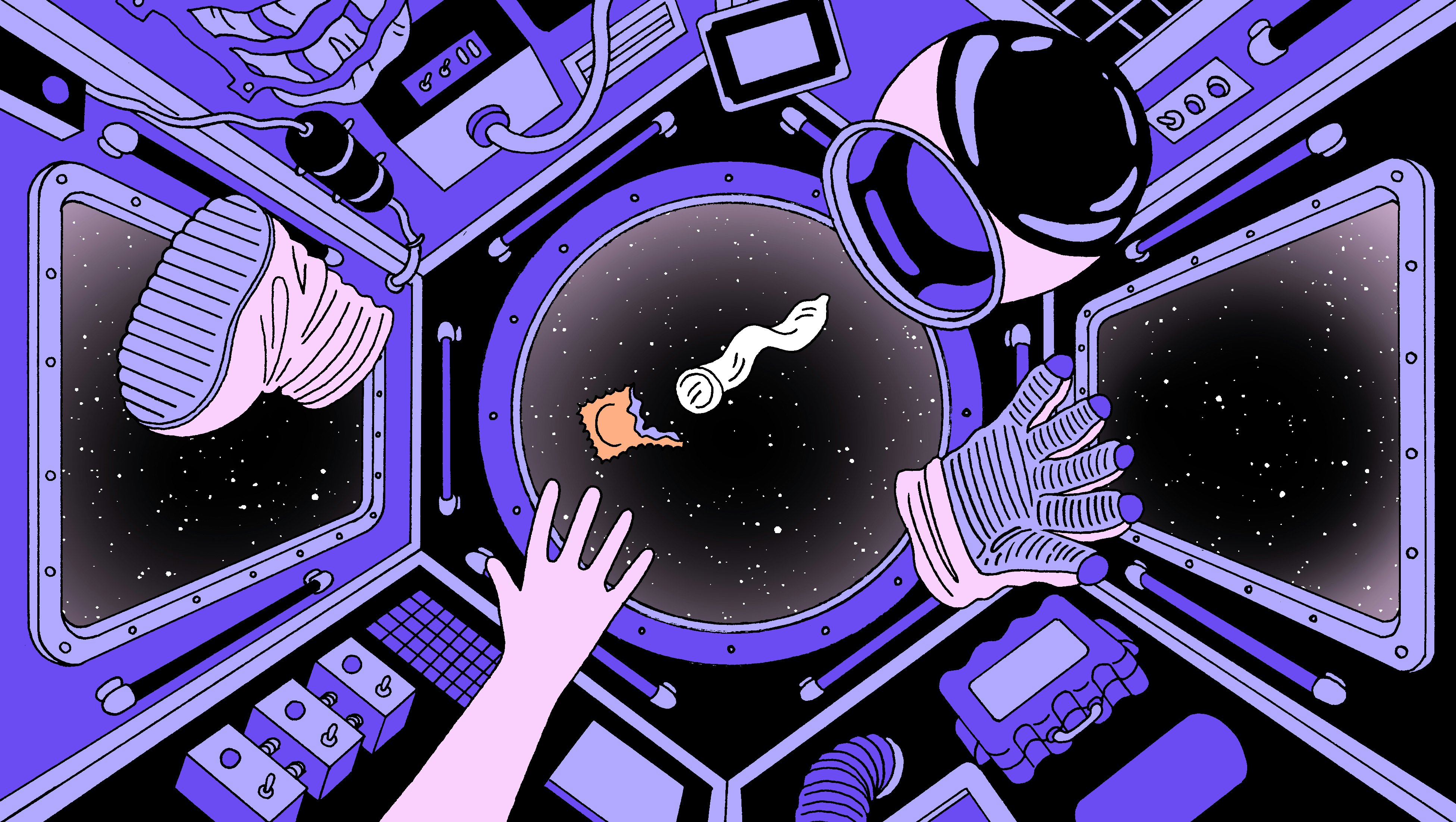 Inside the push to study sex in space