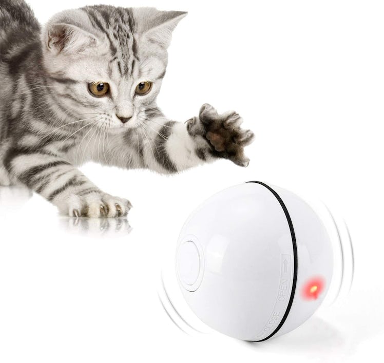 Best interactive electronic ball toy for cats for when you are away