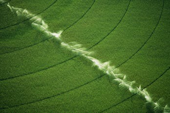 Green field being irrigated