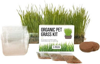 The Cat Ladies Cat Grass Growing Kit (3-Pack) 
