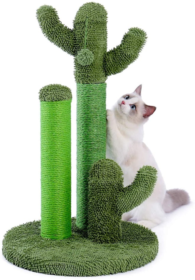 PAWZ Road Cactus Cat Scratcher