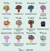 Your zodiac sign knows the perfect Valentine's Day bouquet to freshen up your space.