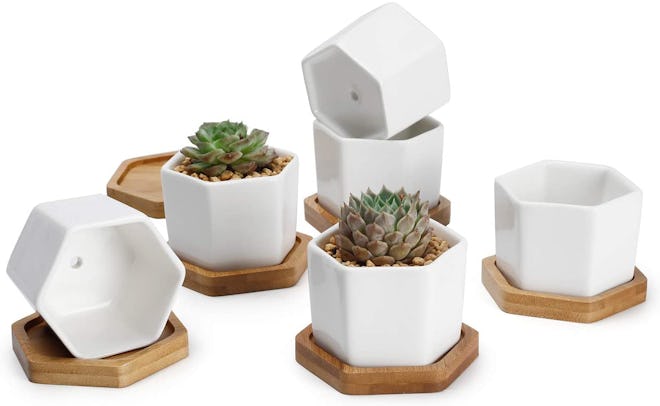 Greenaholics Succulent Plant Pots, 2.76 Inch (4-Pack)