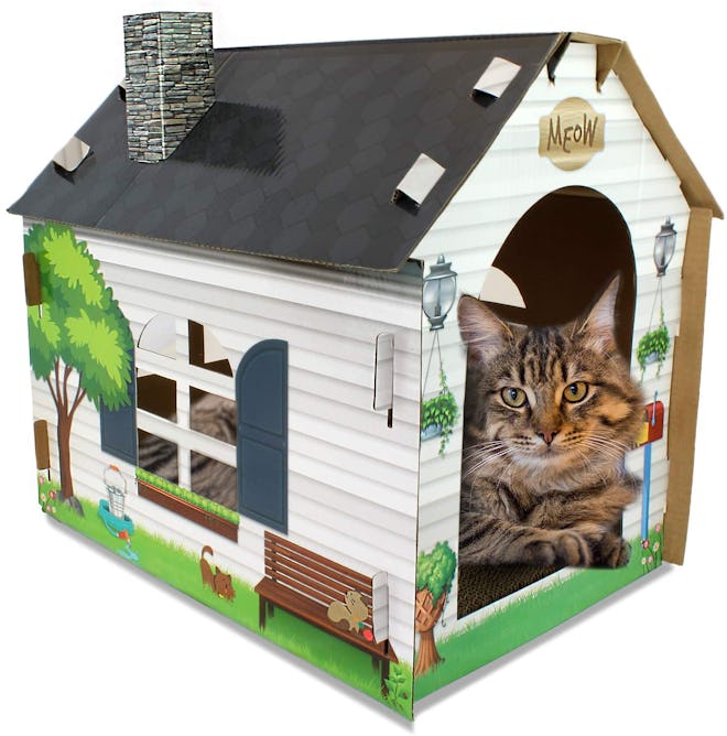 ASPCA Cat House & Scratcher