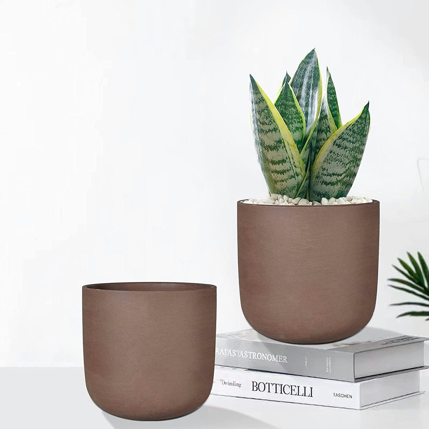 The 13 Best Pots For Indoor Plants In 2022