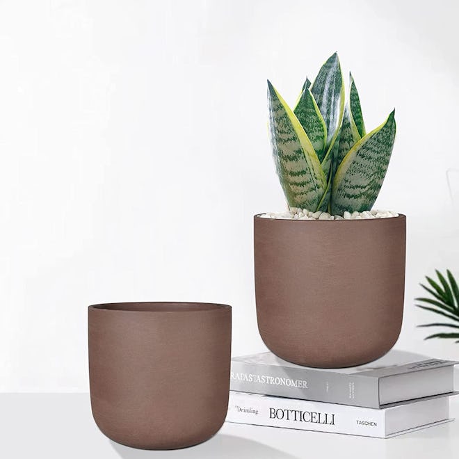 Thirtypot Terra-Cotta Planter Pots (2 Pieces) 