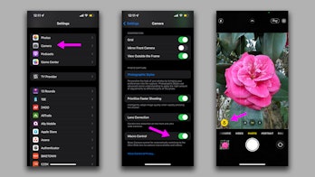 How to use the iPhone 13 Pro’s in-camera macro toggle