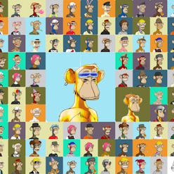 Collage of apes offered by Sotheby's