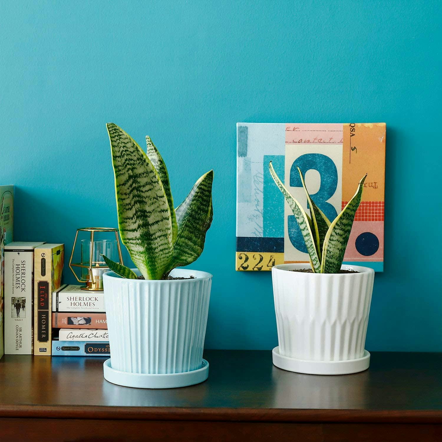 The 13 Best Pots For Indoor Plants In 2022