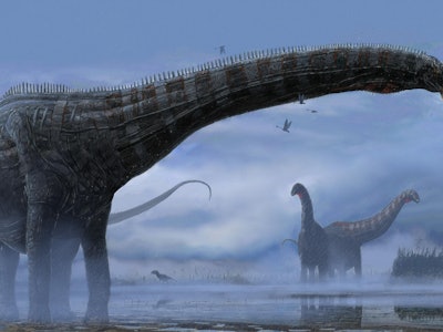 Several sauropods in a foggy swamp.