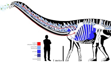 The HUNT For A 150 MILLION Year OLD Living DINOSAUR!! CATCH CLEAN