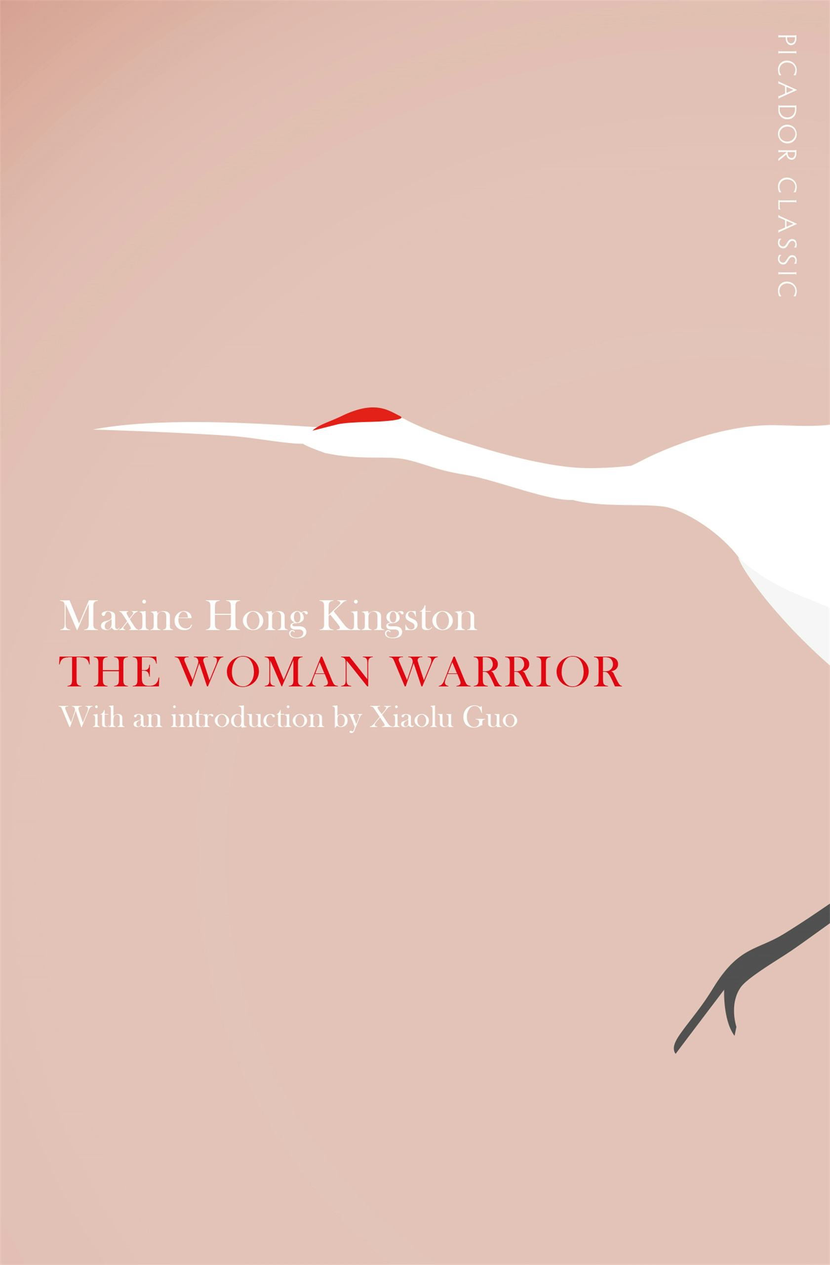 &lsquo;The Woman Warrior&rsquo; by Maxine Hong Kingston