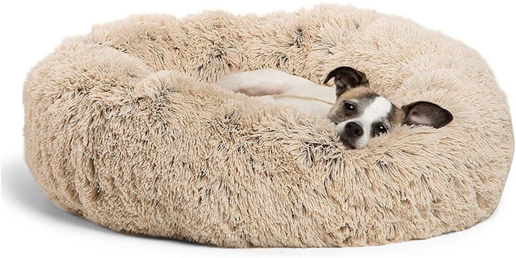 Best Friends by Sheri Donut Cat and Dog Bed