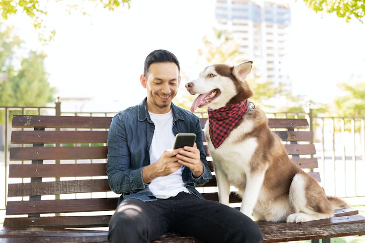 shutterstock dog man phone