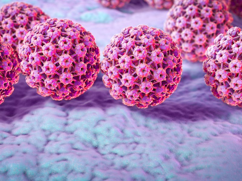 Some strains of the human papilloma virus (HPV) have been associated with cancers, especially cervic...