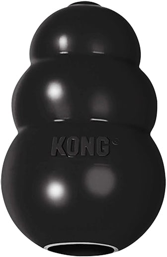 KONG Extreme Rubber Dog Toy