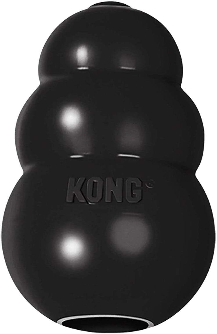 KONG Extreme Rubber Dog Toy