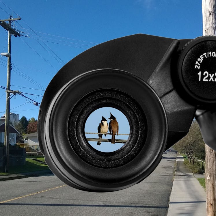 Occer Compact Binoculars