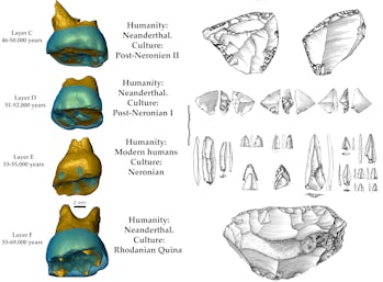 Four Neanderthal teeth
