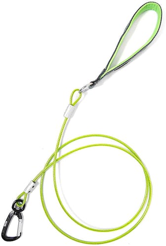 Mighty Paw Chew-Proof Dog Leash