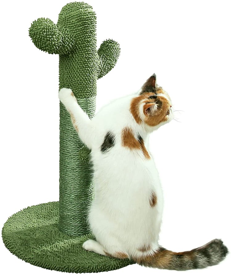 PetnPurr Cactus Cat Scratcher