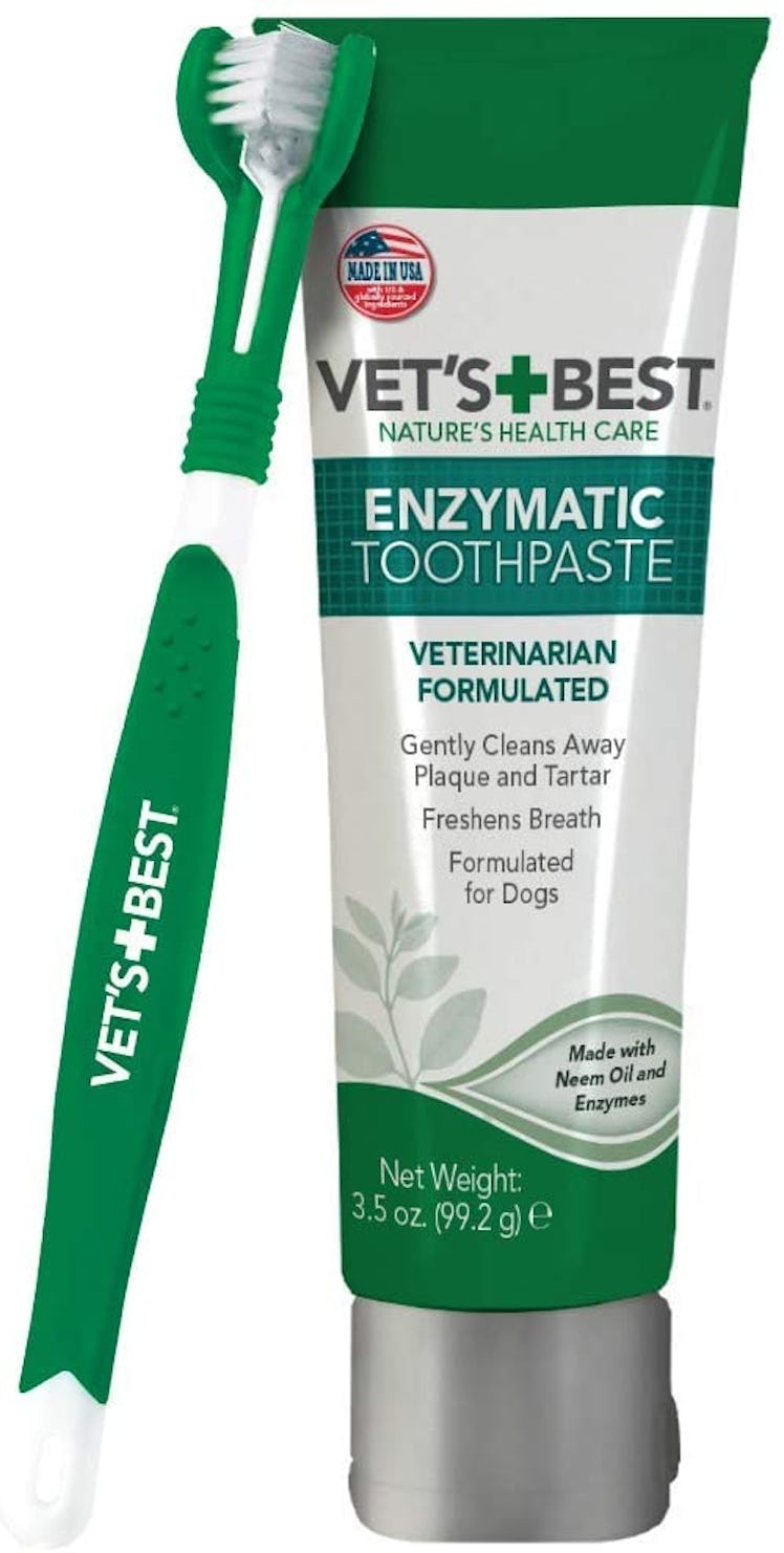 Vet’s Best Enzymatic Dog Toothpaste