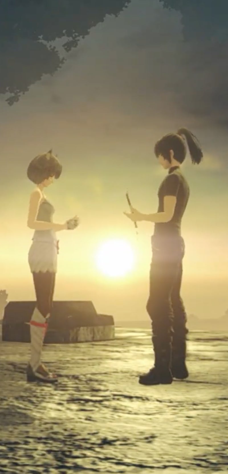 Noah and Mio from the Xenoblade Chronicles 3 in a screenshot