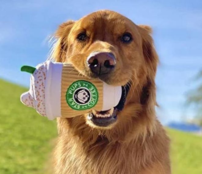 Star Pups Coffee Dog Toy