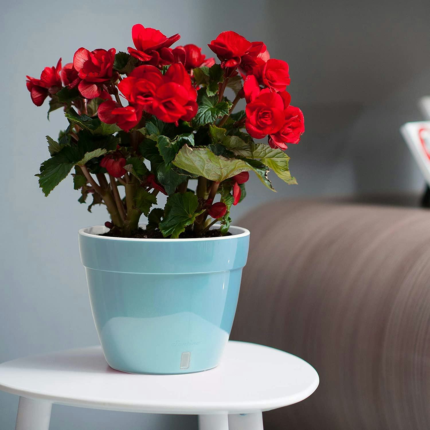 DecoPots Self-Watering Planter