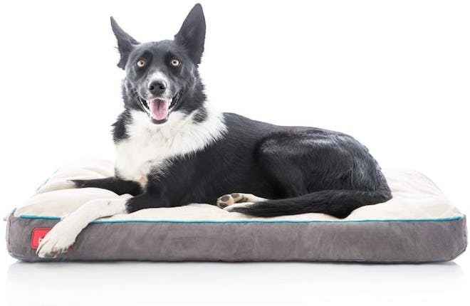 Brindle Shredded Memory Foam Dog Bed