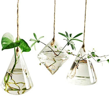Indoor Outdoor Glass Hanging Planters