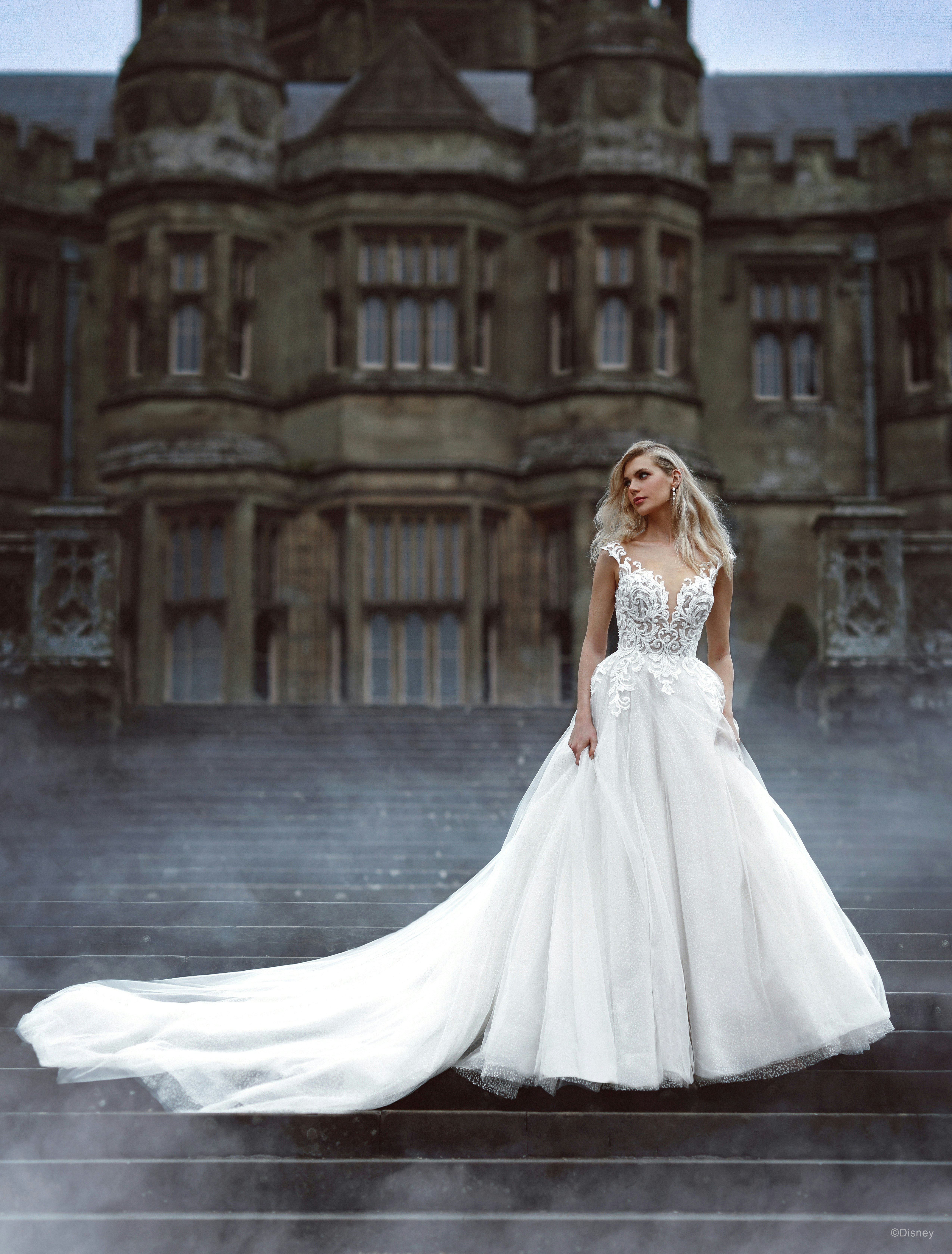 Cinderella inspired outlet wedding dress