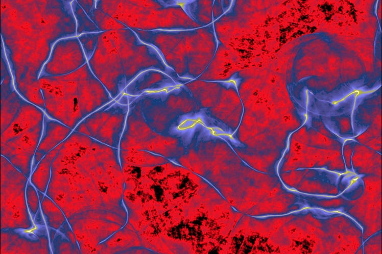 The early universe simulation shows the axion energy density