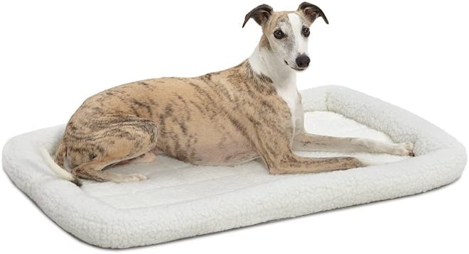 MidWest Homes For Pets Bolster Bed