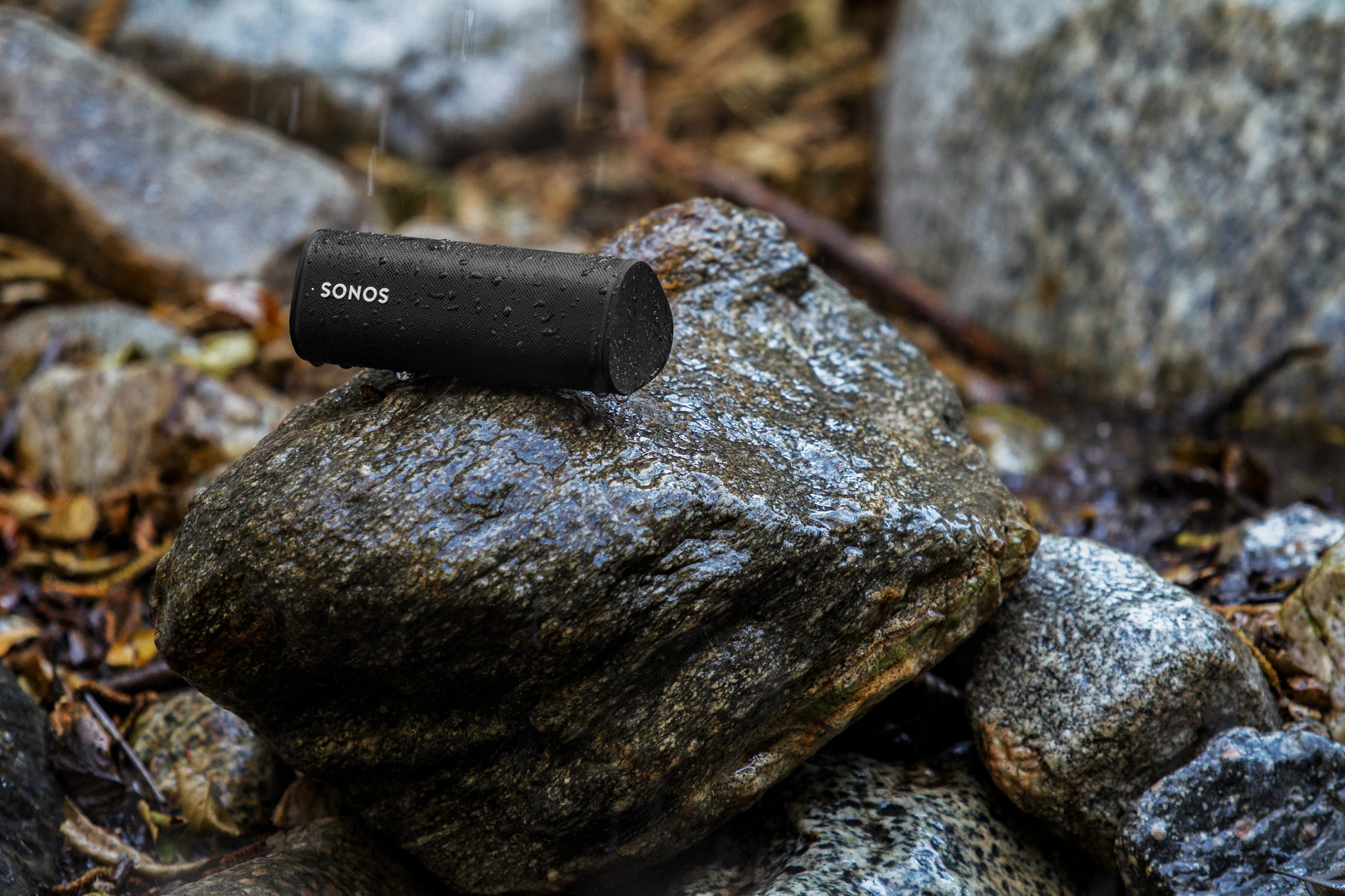 Sonos Roam SL loses some of its best 