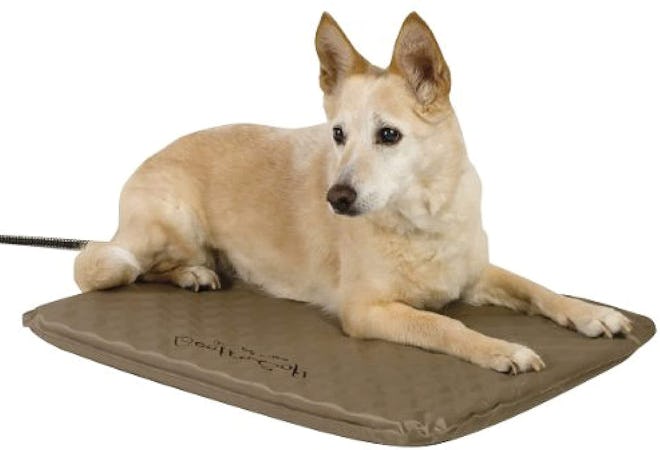 K&H Pet Products Outdoor Heated Dog Bed