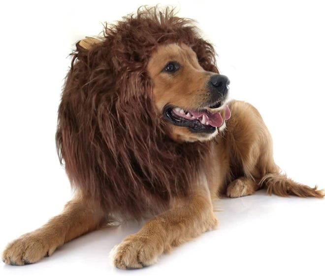 Onmygogo Lion Mane Wig for Dogs