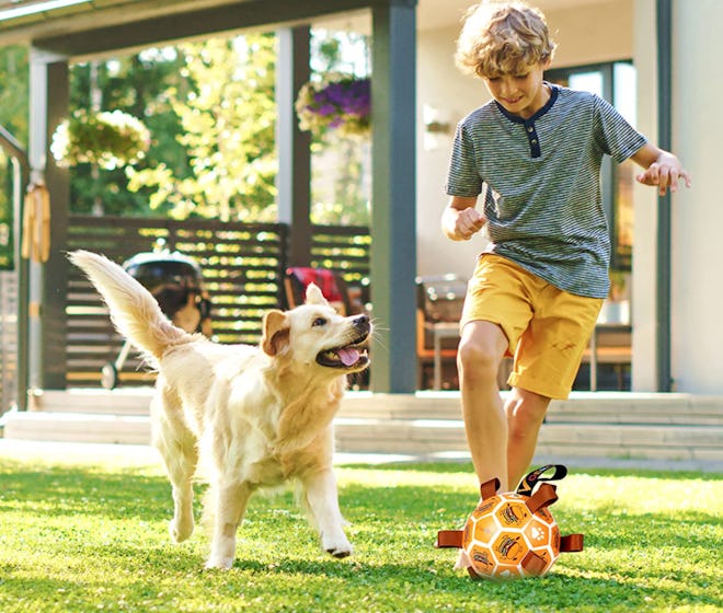 Voerou Dog Soccer Ball with Grab Tabs